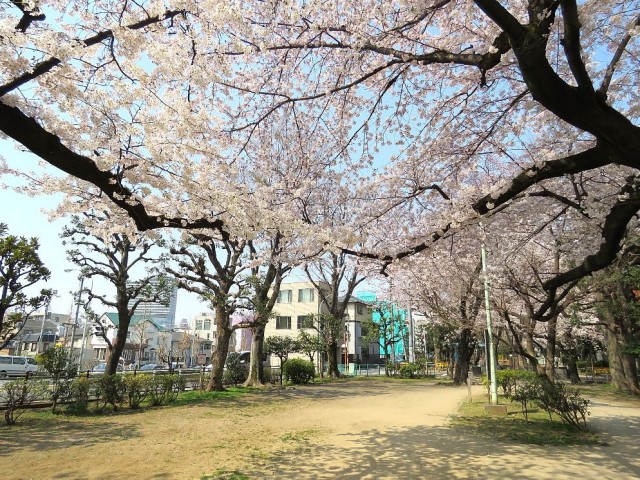 レヂオンス大山　大山緑道