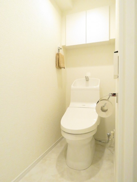 レヂオンス大山　ウォシュレット付きトイレ