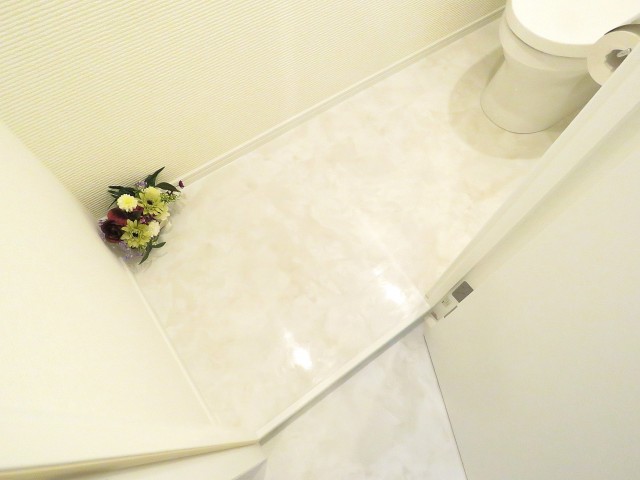 レヂオンス大山　トイレ