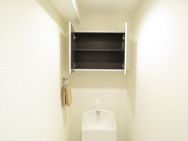 レヂオンス大山　トイレの吊戸棚