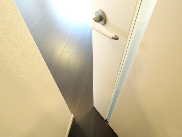 レヂオンス大山　ＬＤＫ扉