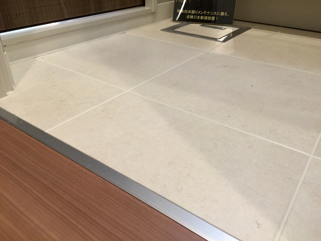 桜上水山森マンション　サニタリールーム