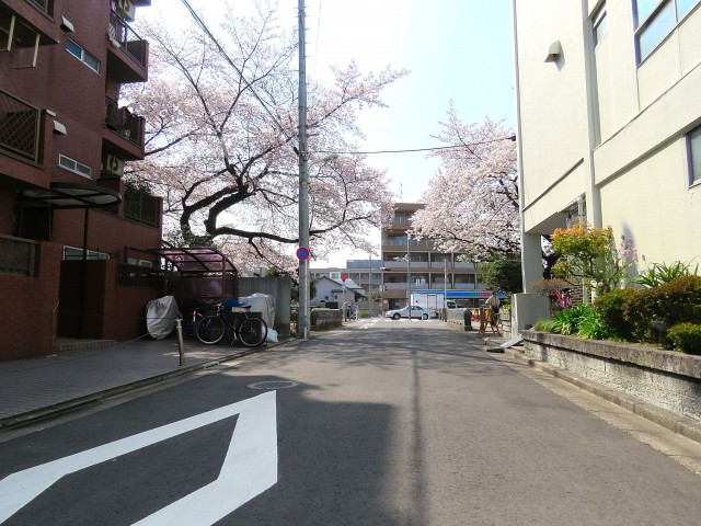 レヂオンス大山　前面道路