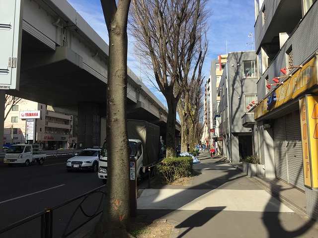 桜上水山森マンション　周辺環境