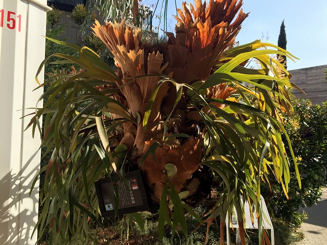 マルモール代々木　周辺環境