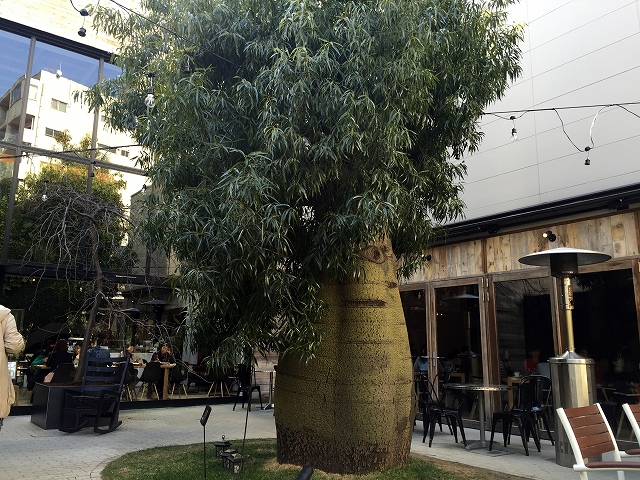 マルモール代々木　周辺環境