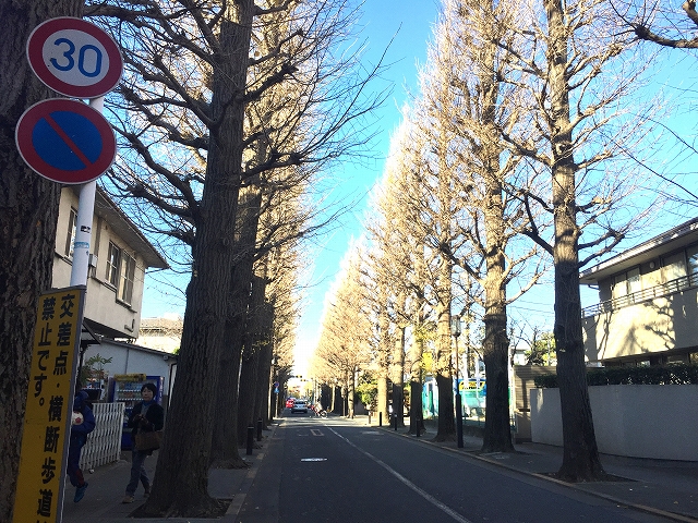 ガーデンコート成城ＵＮＩＴＥＤ　ＣＵＢＥＳ　周辺環境