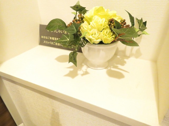 セブンスターマンション大森　玄関カウンター