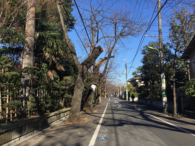 ガーデンコート成城ＵＮＩＴＥＤ　ＣＵＢＥＳ 周辺環境