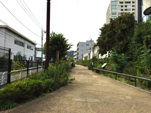 シーアイマンション駒場　周辺環境