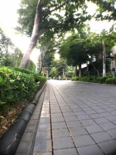 玉川サンケイハウス　周辺環境