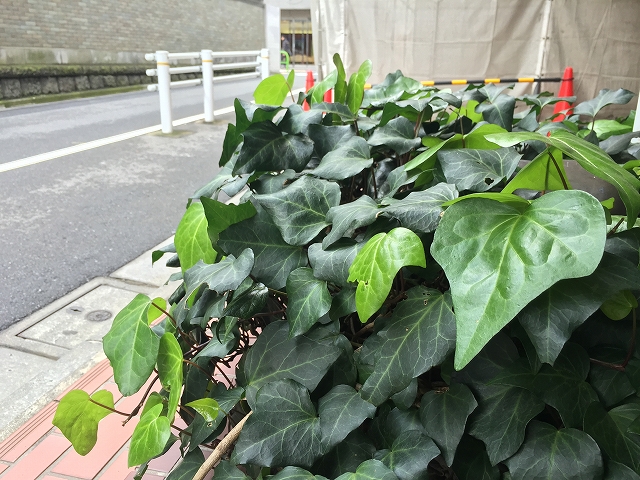 トーア高輪ガーデン　エントランス