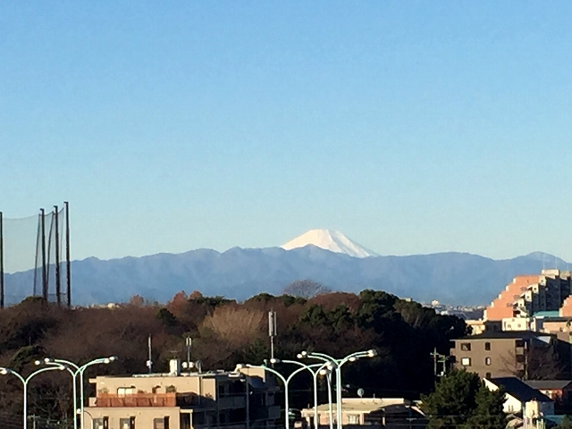 砧公園ヒミコマンション　眺望