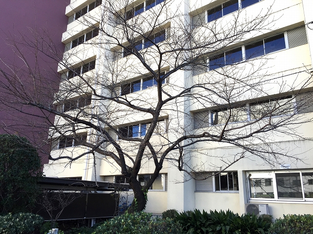 ガーデン堀ノ内住宅　外観