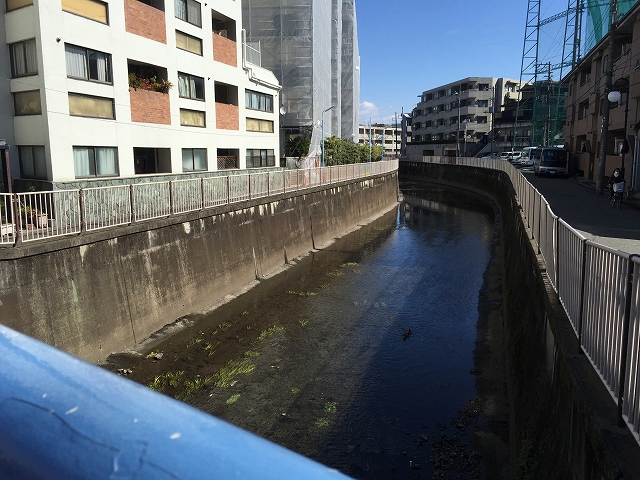 日興パレス西荻窪　周辺環境