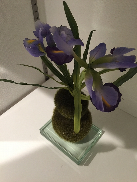 日興パレス西荻窪　廊下