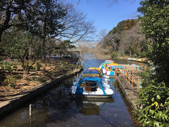 日興パレス西荻窪　周辺環境