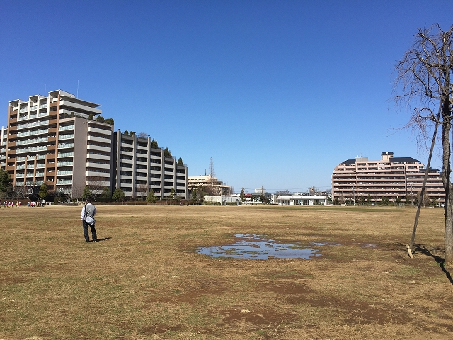 日興パレス西荻窪　周辺環境