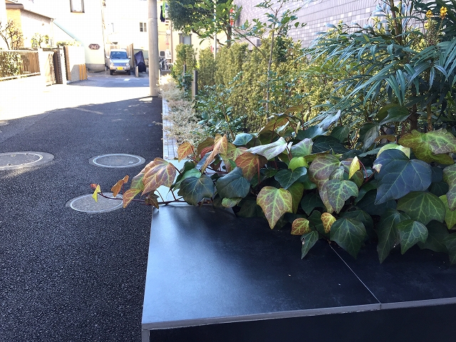 グランドベイス世田谷ガーデン　エントランス