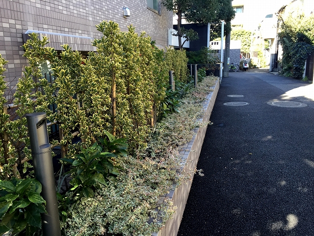 グランドベイス世田谷ガーデン　植栽