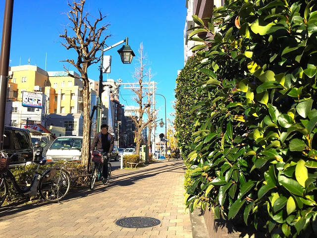 キャニオングランデ荻窪　前面道路