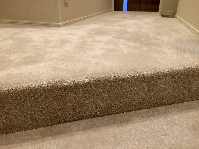 キャニオングランデ荻窪　廊下