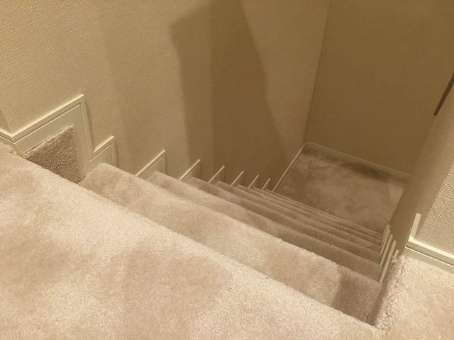 キャニオングランデ荻窪　階段