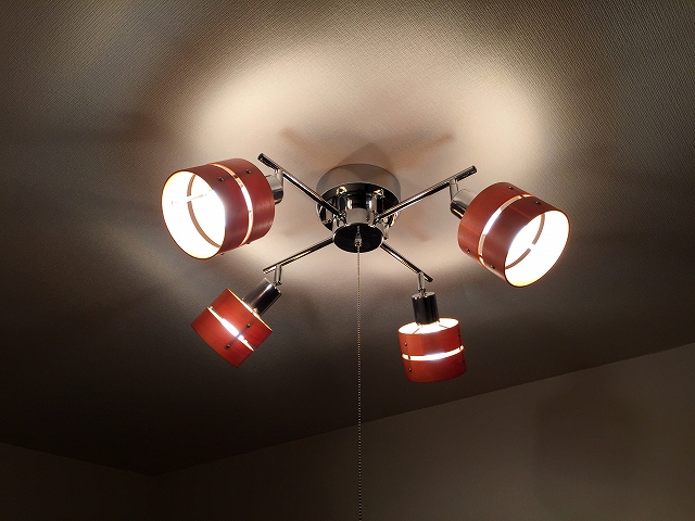 キャニオングランデ荻窪　洋室約6.3帖照明