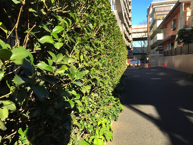 クレアシティ上北沢　駐車場