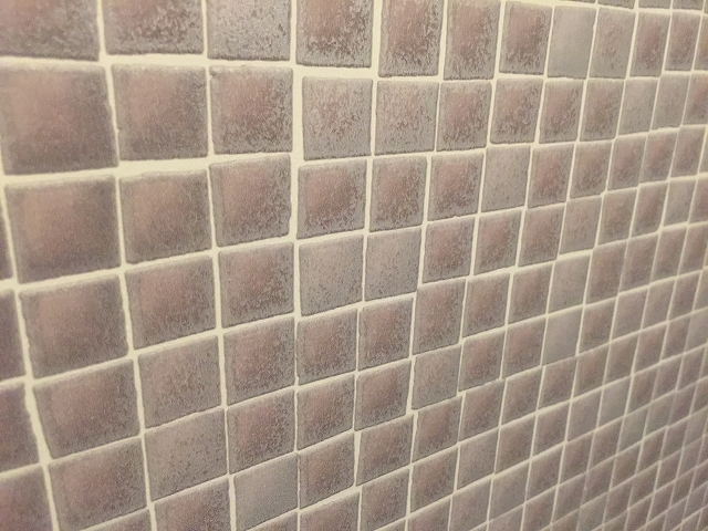 グランドメゾン目白　トイレ