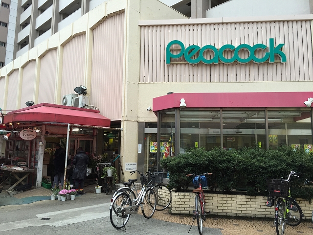 グランドメゾン目白　周辺環境