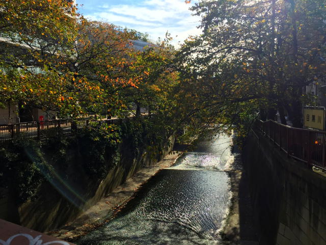 シーアイマンション駒場　周辺環境