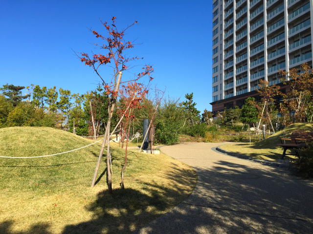 シーアイマンション駒場　周辺環境