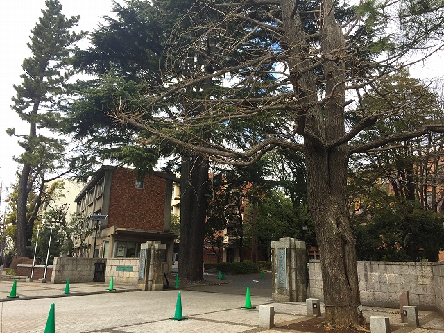 馬事公苑前ハイム　周辺環境