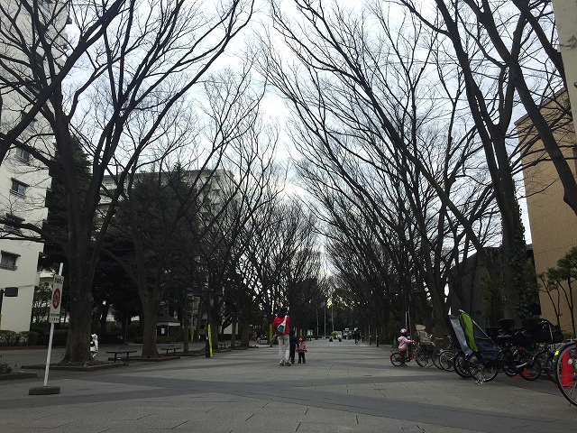 馬事公苑前ハイム　周辺環境