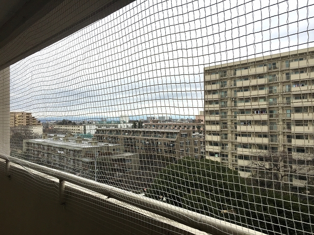 馬事公苑前ハイム　洋室約6.5帖馬事公苑前ハイム　北側バルコニー