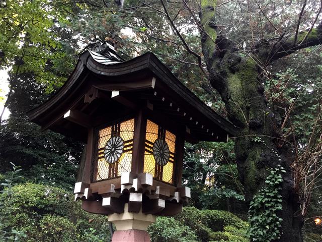 サンハイツ永福町 周辺環境