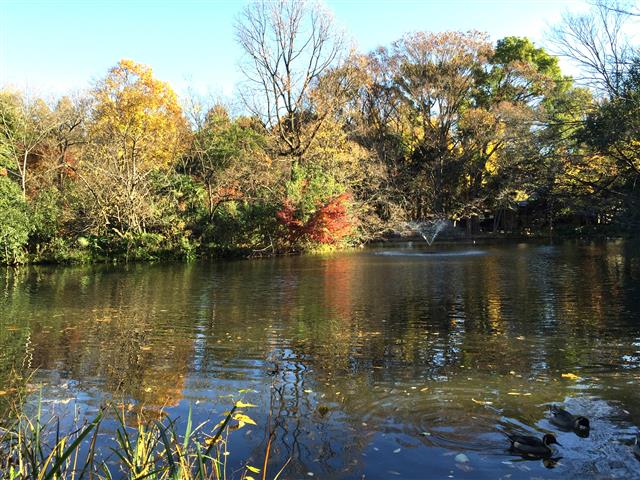 サンハイツ永福町 周辺環境