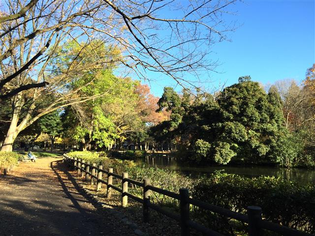 サンハイツ永福町 周辺環境