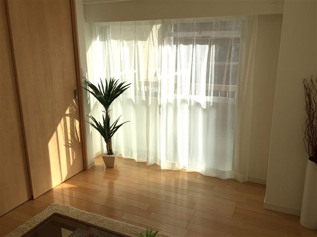 ドルメン五反田　洋室約6帖