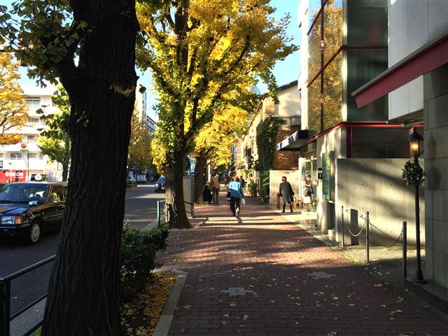 パシフィック白金台　周辺環境