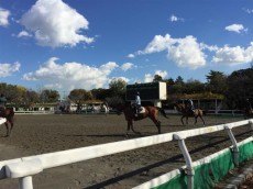 玉川サンケイハウス　周辺環境