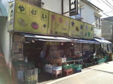 玉川サンケイハウス　周辺環境