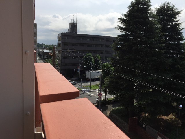 砧公園ヒミコマンション　眺望