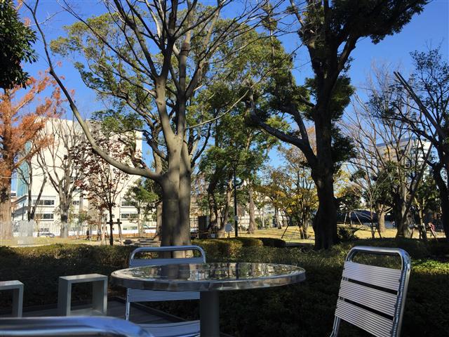 中野ハイネスコーポ　周辺環境