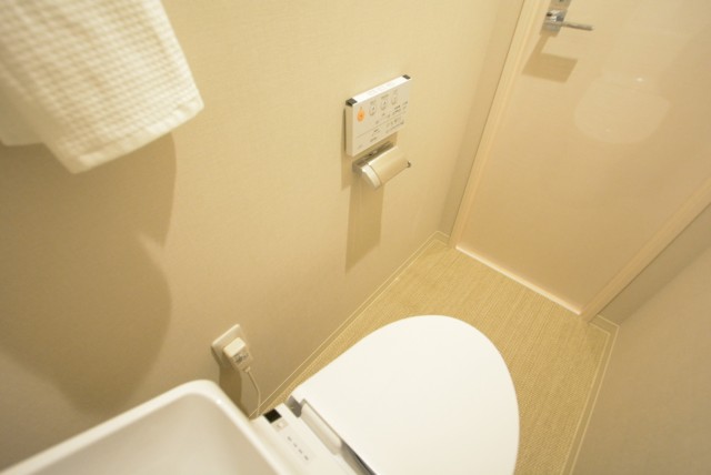 カーサ第二蒲田 トイレ