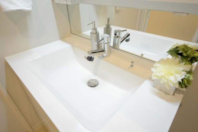 カーサ第二蒲田 洗面