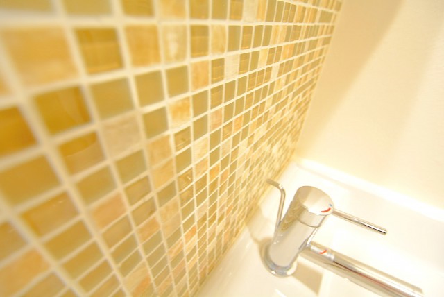 パレス三條 洗面