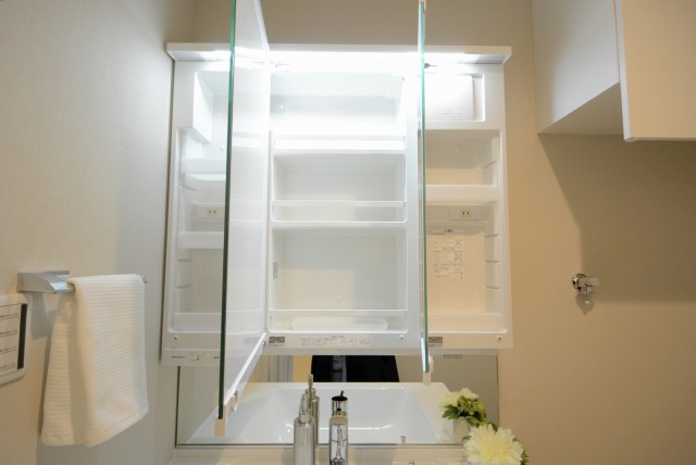 カーサ第二蒲田 洗面