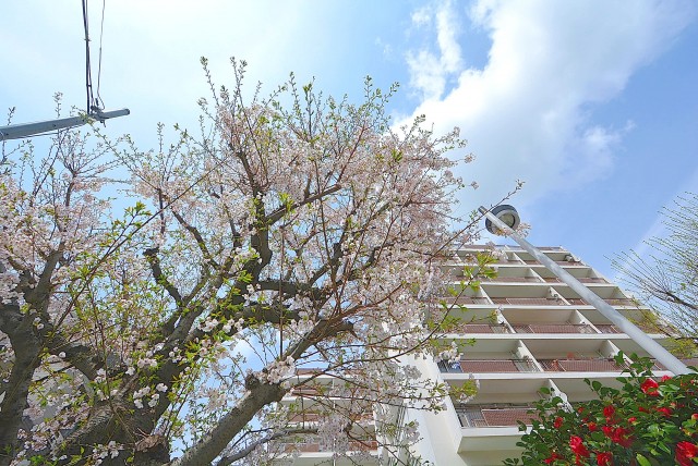 パレス三條 外観